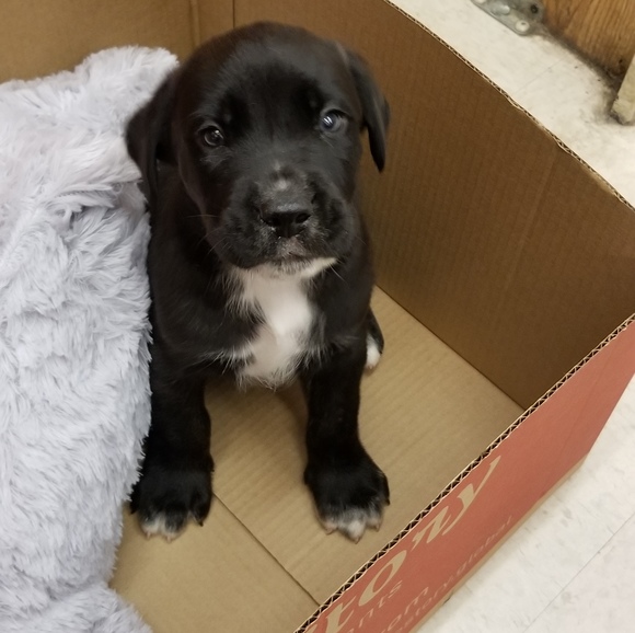 Meet your Posher, Tammy - Picture 1 of 1